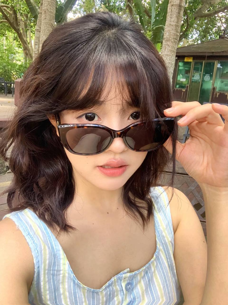 关系进度 关系进度